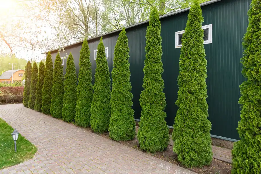 Reliable Landscaper in New Baltimore, MI