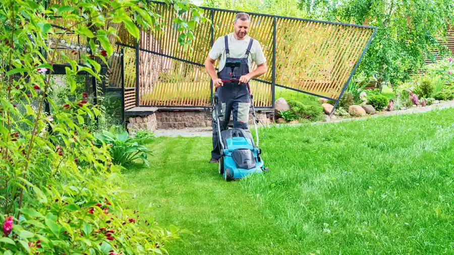 Professional Lawn Mowing New Baltimore, MI Professional Lawn Mowing New Baltimore, MI