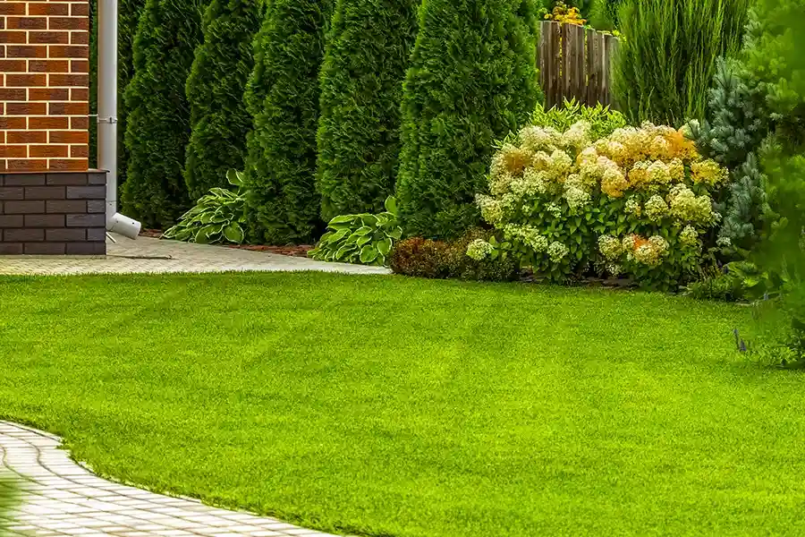 Reputable Lawn Care Service New Baltimore, MI Reputable Lawn Care Service New Baltimore, MI