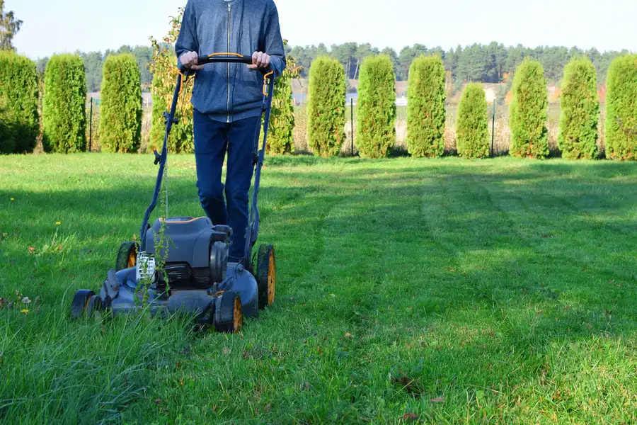 Seasonal Considerations For Effective Lawn Mowing New Baltimore, MI Seasonal Considerations For Effective Lawn Mowing New Baltimore, MI