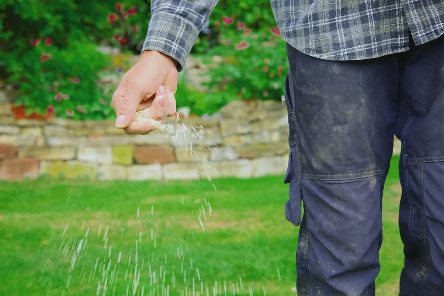 The Importance Of Timing In Effective Lawn Fertilization New Baltimore, MI The Importance Of Timing In Effective Lawn Fertilization New Baltimore, MI