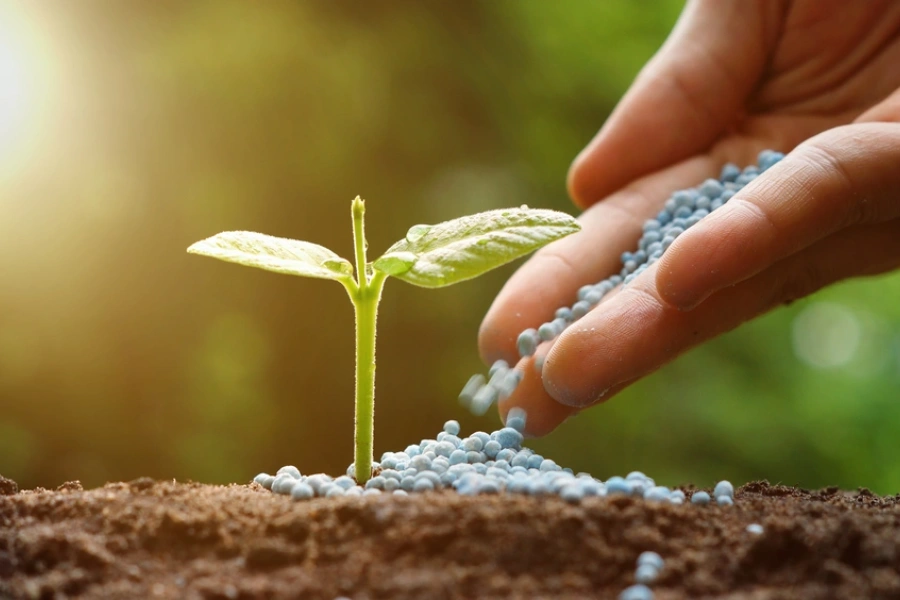 The Importance Of Timing In Effective Lawn Fertilization in New Baltimore, MI The Importance Of Timing In Effective Lawn Fertilization in New Baltimore, MI