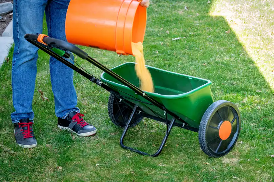 The Role Of Fertilization In Achieving A Lush Green Lawn in New Baltimore, MI The Role Of Fertilization In Achieving A Lush Green Lawn in New Baltimore, MI