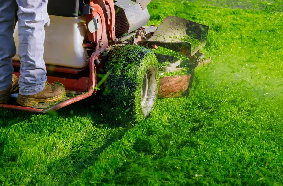 Top-rated Lawn Mowing New Baltimore, MI Top-rated Lawn Mowing New Baltimore, MI